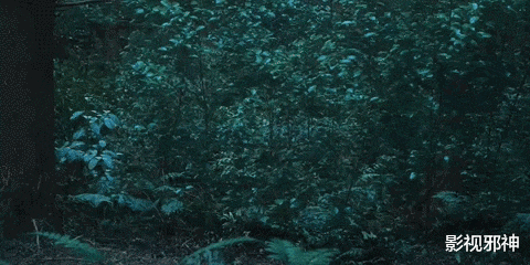 冯绍峰|开场50分钟才高潮，憋死我了