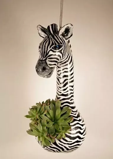 葫芦|又一个不要钱的文玩,玩出来给钱都不卖