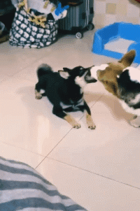 学姐说育儿|神回复:看到一位小姐姐在为难,我该伸出援手吗?神评亮了