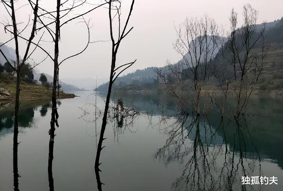 |深秋野钓鱼不咬钩？高手无私分享专钓大板鲫饵料秘方，想不连杆都难