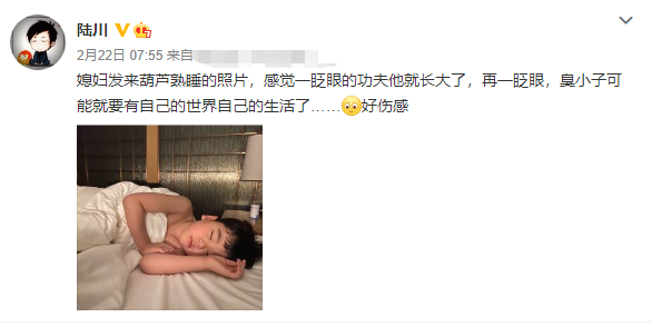 霍启刚|央视主持胡蝶罕晒娃，儿子脸蛋圆润萌味足，女儿长相神似爸爸陆川