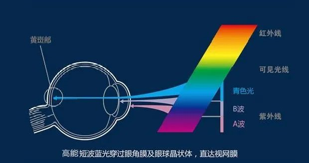视界沐光VR视力|每天看电子屏幕超过8小时? 警惕眼睛出现“数码视疲劳”