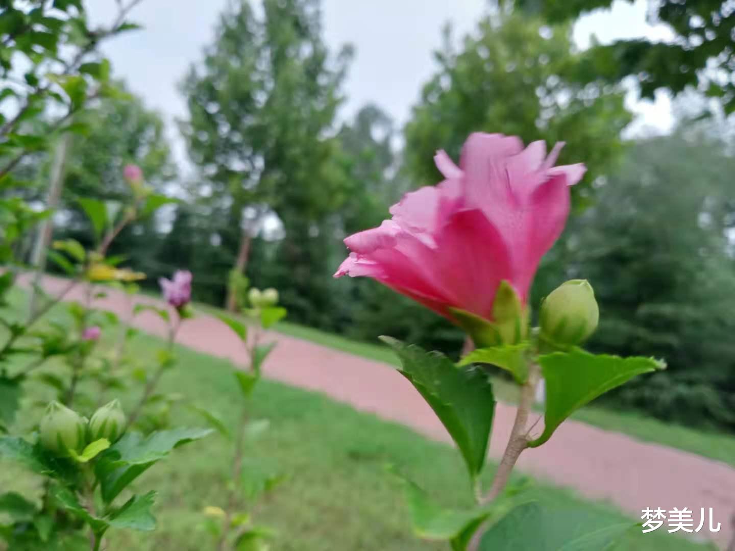 梦美儿|吃好自己碗里的,别想别人锅里的