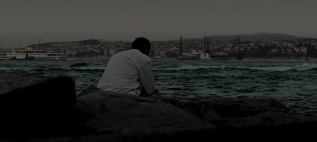 赵露思|李子柒，可惜了！