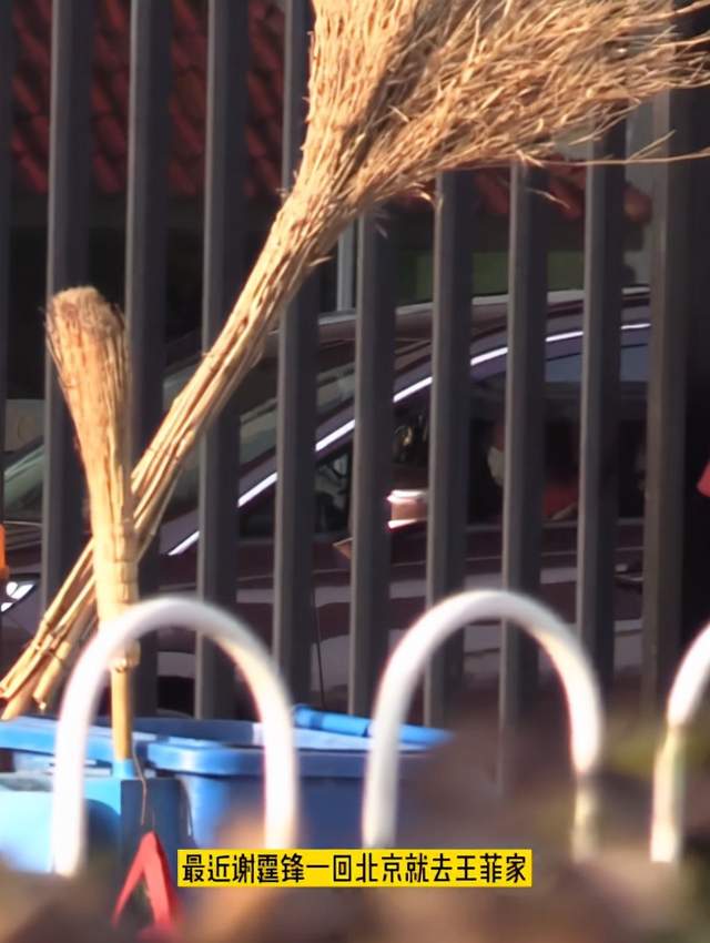 谢霆锋|41岁谢霆锋现身王菲家被拍，行色匆匆背大包，感情稳定惹人羡慕