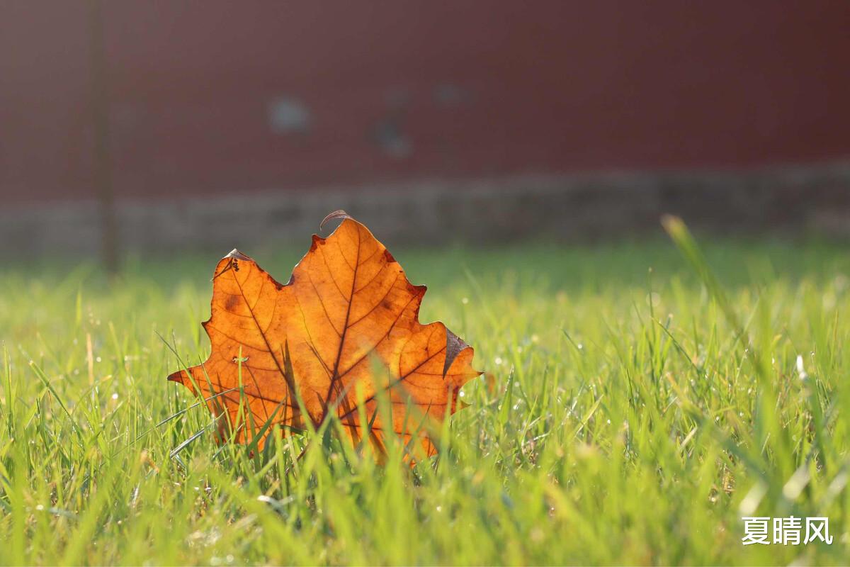 夏晴风|林生斌人设崩塌的背后,是对人心的玩弄
