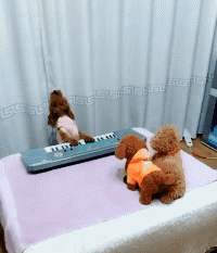 时尚炫点 女朋友一直给我喝这个,瓶身上啥标识也没有,这是什么东西啊各位?