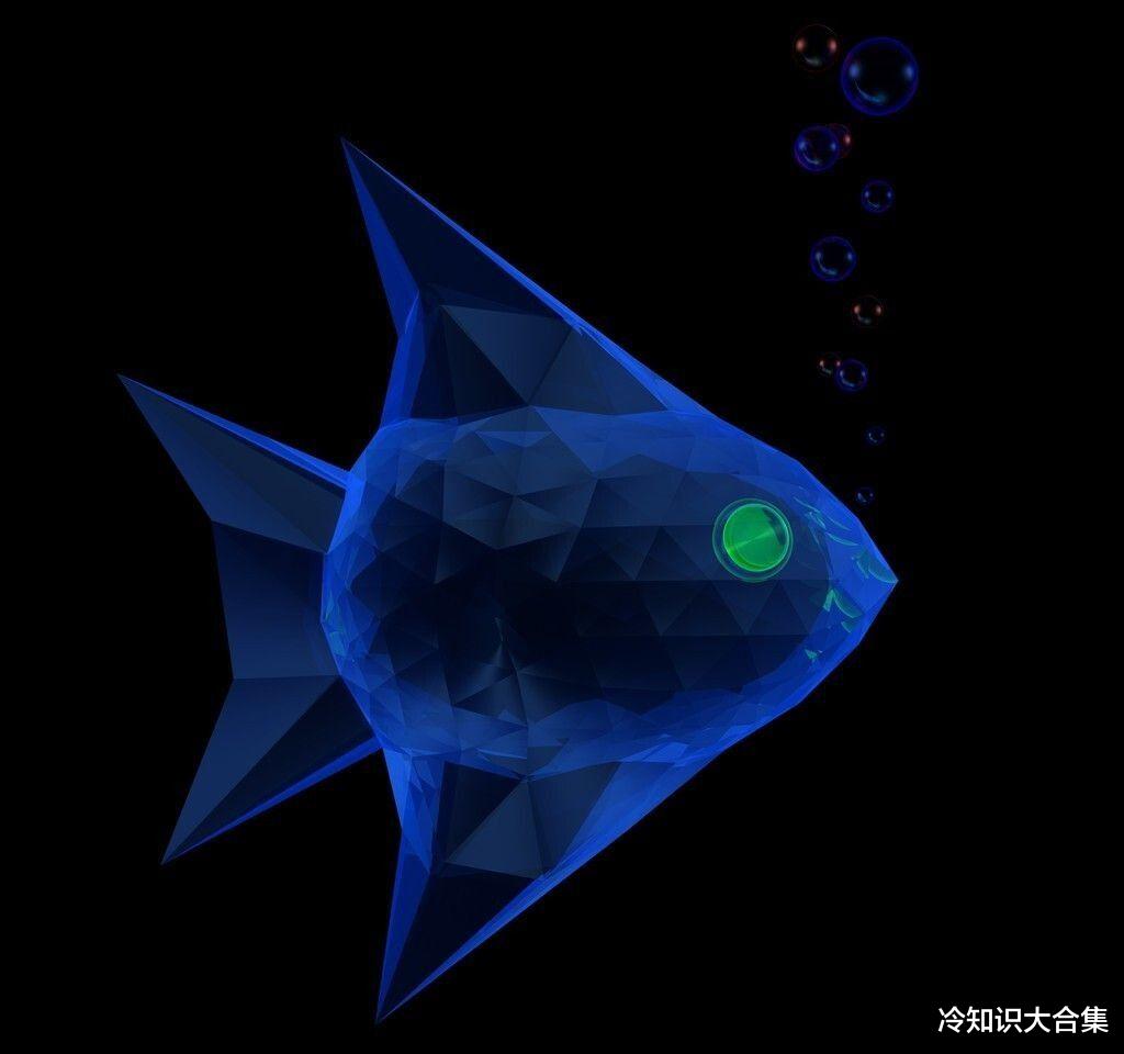 17个你不知道的冷知识,鸟为什么叫“直肠”?