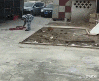 时尚炫点|【幽默问题】兄弟们取个名字吧,以金字开头,一经录用红包奖励。