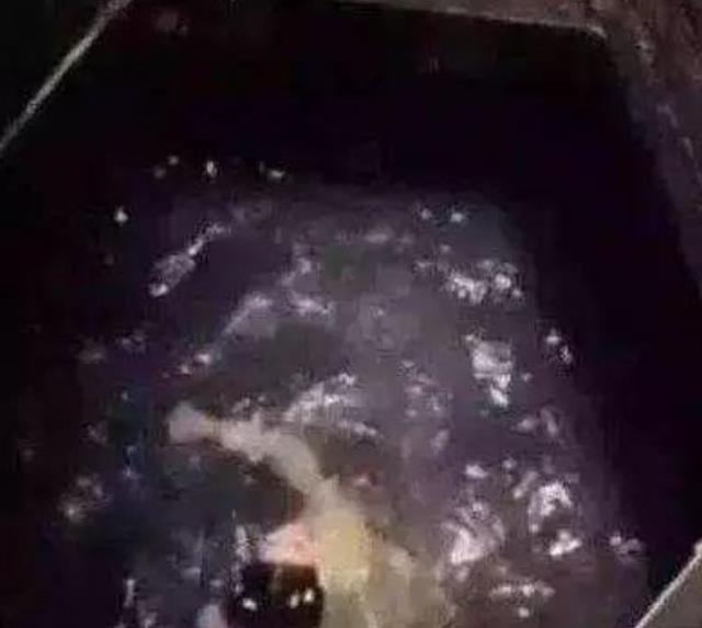 杨丞琳|拍戏时嫌井水脏，用140桶矿泉水替代的女星，原来说的就是她！