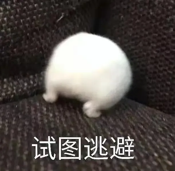 桃小菁说说|南台控股:整形撕x豪门恋一样不落,这对塑料姐妹怎么还是时代的眼泪?