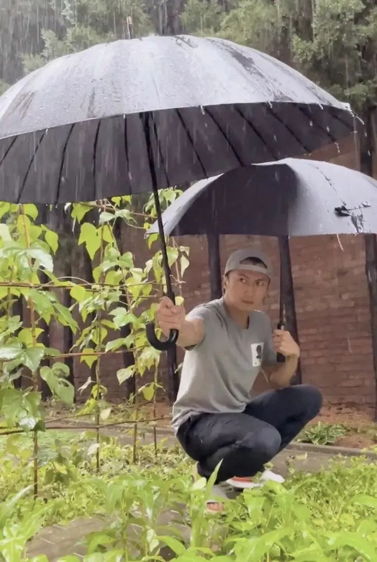 感觉会火|16岁上台嘘声一片，叛逆20年改行当厨子，如今靠一个反派演技封神