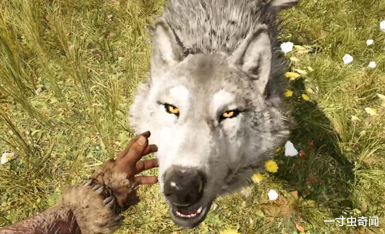 兔子 24只兔子61年繁殖百亿，味美又能生的兔子，咋就没成人类主要肉食