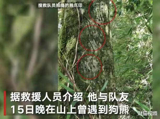 哀牢山失踪4名地质人员因公殉职,出动3000余人搜救,网友关心猜测可能是失温,瘴气,遇猛兽等说法