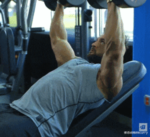 胸肌|古天乐、健美选手逐渐“胸肌雌化”,练得越大越娘?原因是这个