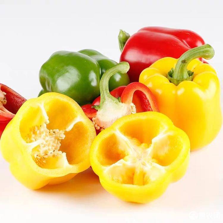 蔬菜|节食减肥，越减越肥！科学减肥你应该这样吃