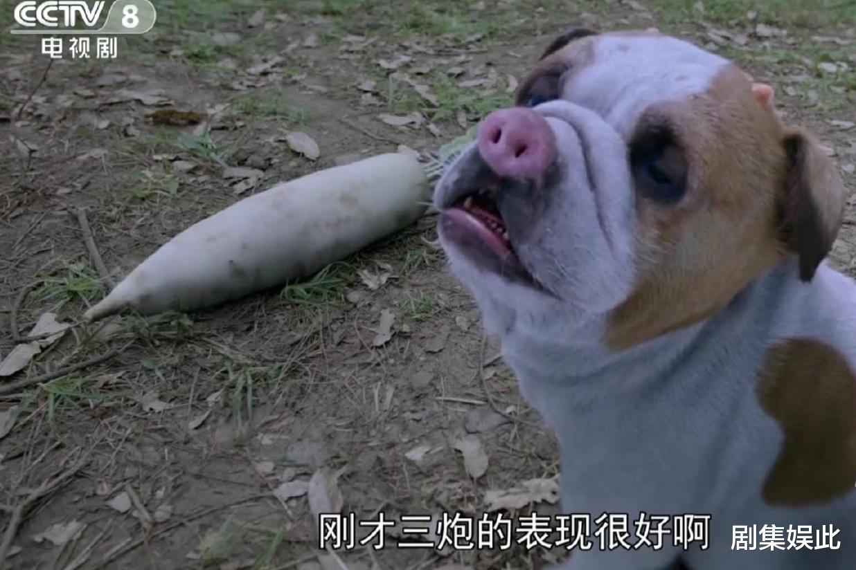 肖战|《斗罗大陆》电视剧海外评论，真心真诚真实，或许我们错怪肖战了