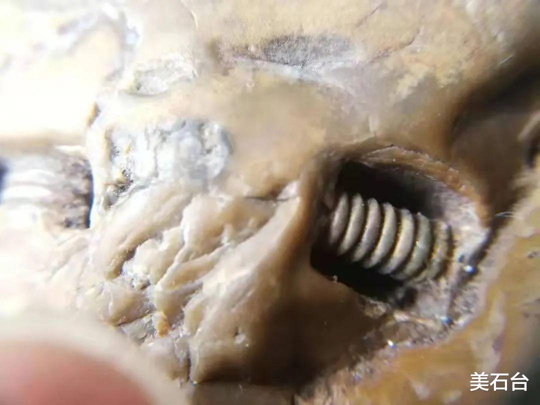 |2009年，他在河边捡到一块带螺丝钉的黄蜡石，38万不敢卖