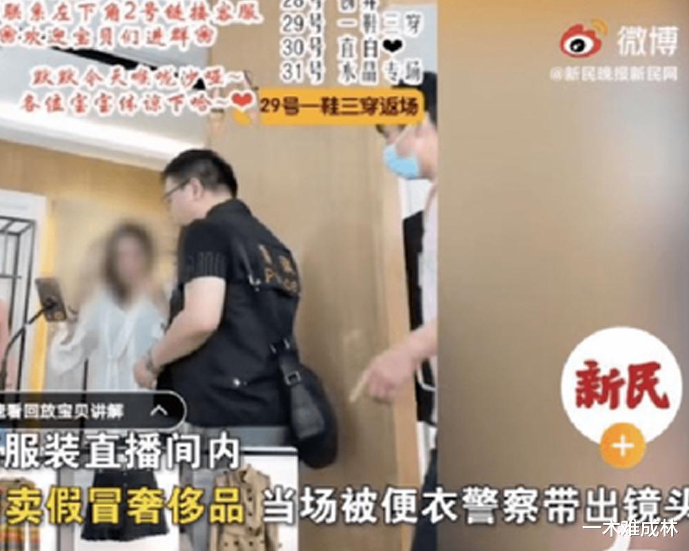 一木难成林|带货主播审核责任，就能杜绝假货吗？