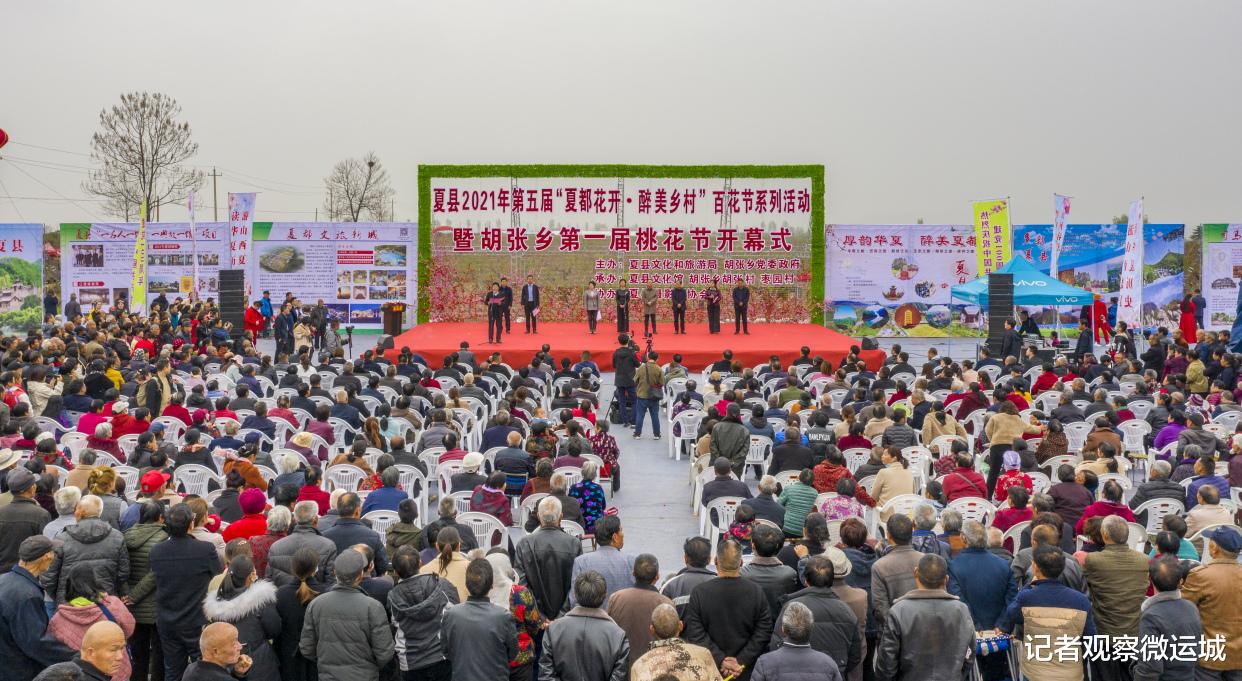 记者观察微运城 夏县2021“夏都花开 醉美乡村”胡张乡首届桃花节正式开幕