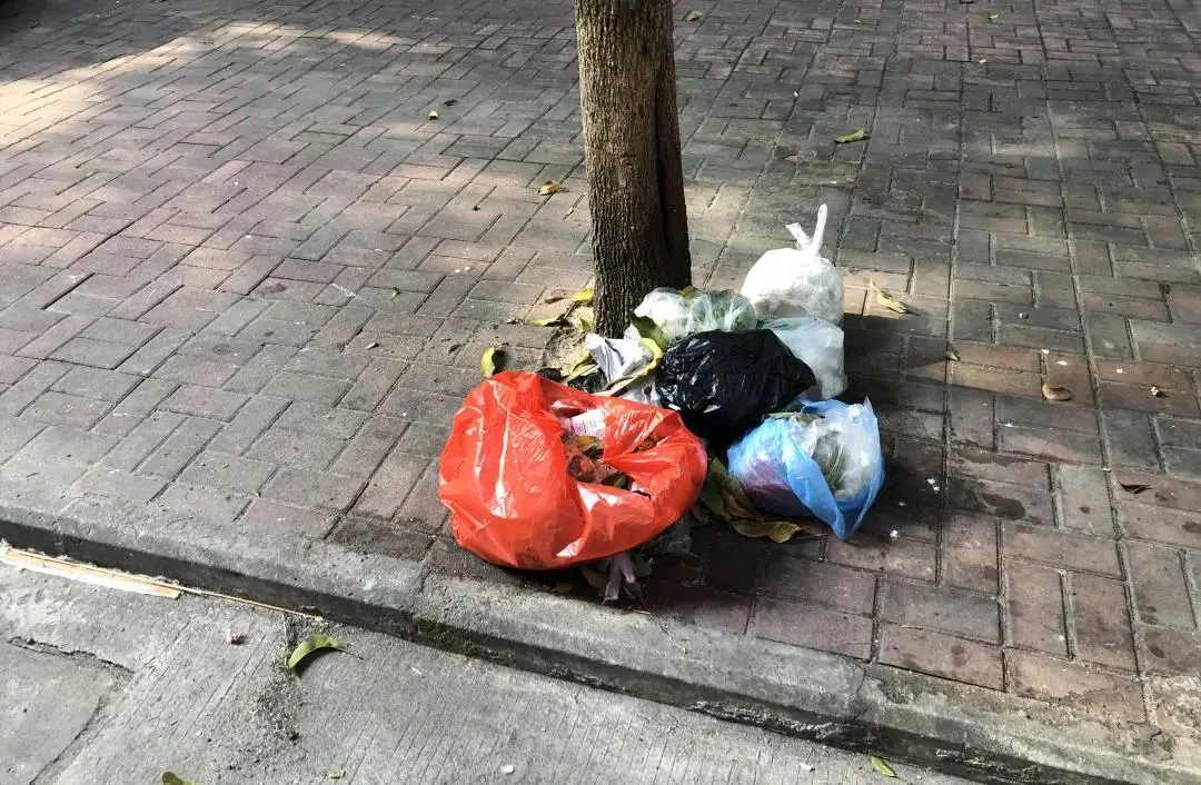 社会与法治栏目 双龙小区垃圾分类蝶变记