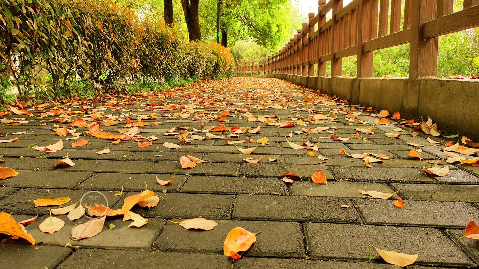 民警 秋天了，你收获了什么