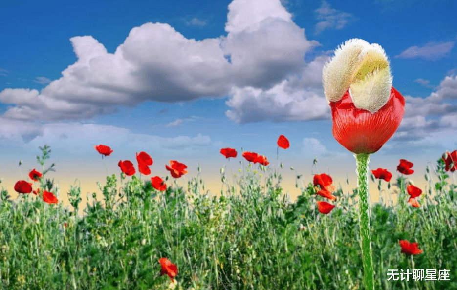 无计聊星座|上半月，4个星座女，虽然并不勤快，却备受宠爱，生活简单却幸福