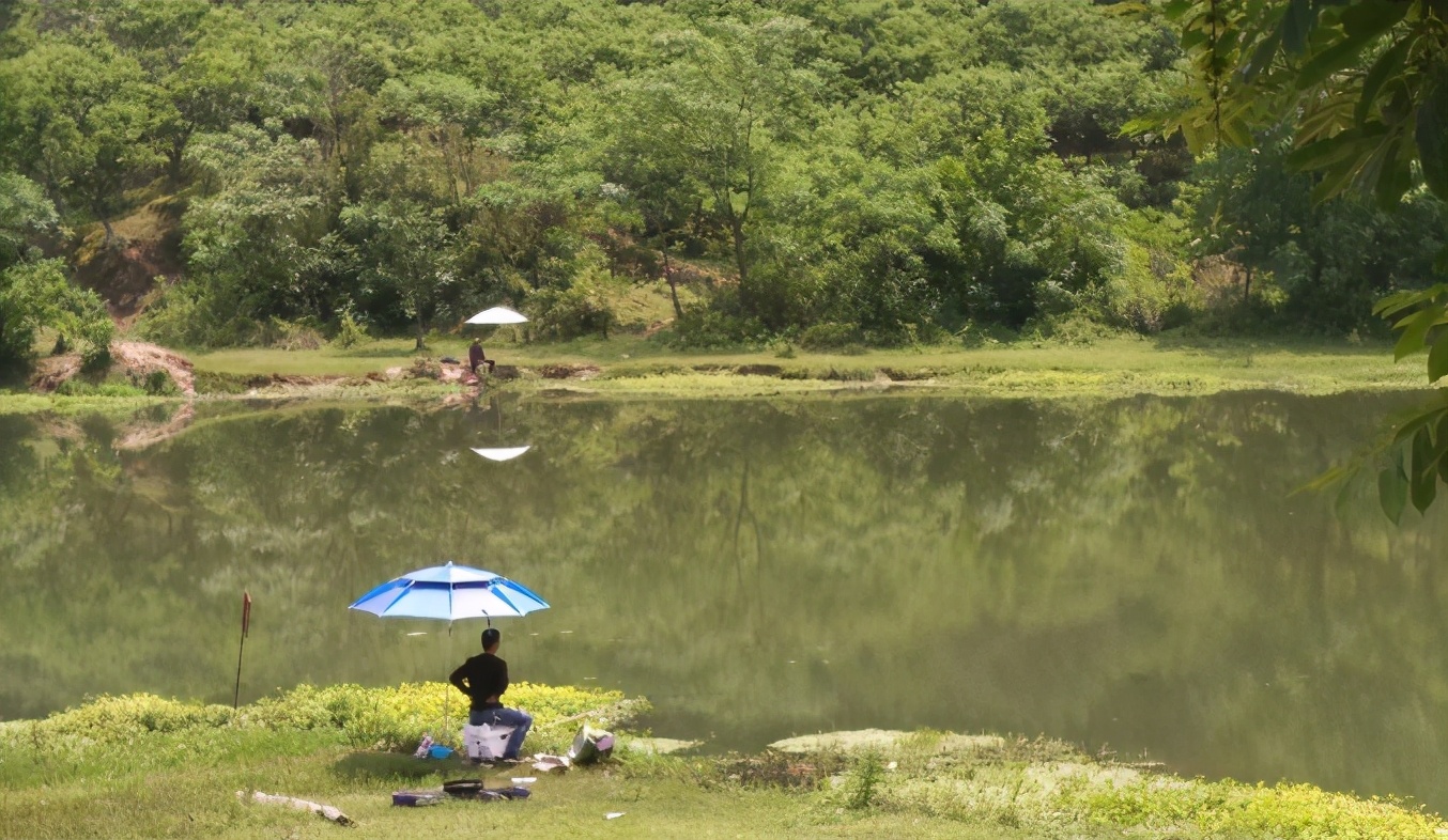 |钓鱼谚语:风前雨后好钓鱼,雨后真的好钓鱼吗?