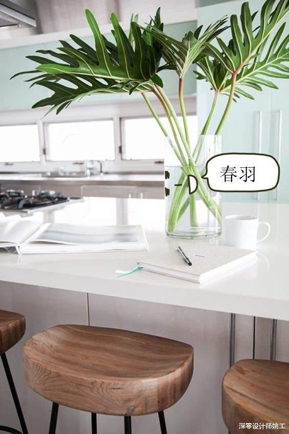 |桌上不摆花，放这9种遇水即活的绿植，装点了室内，养护也更省心