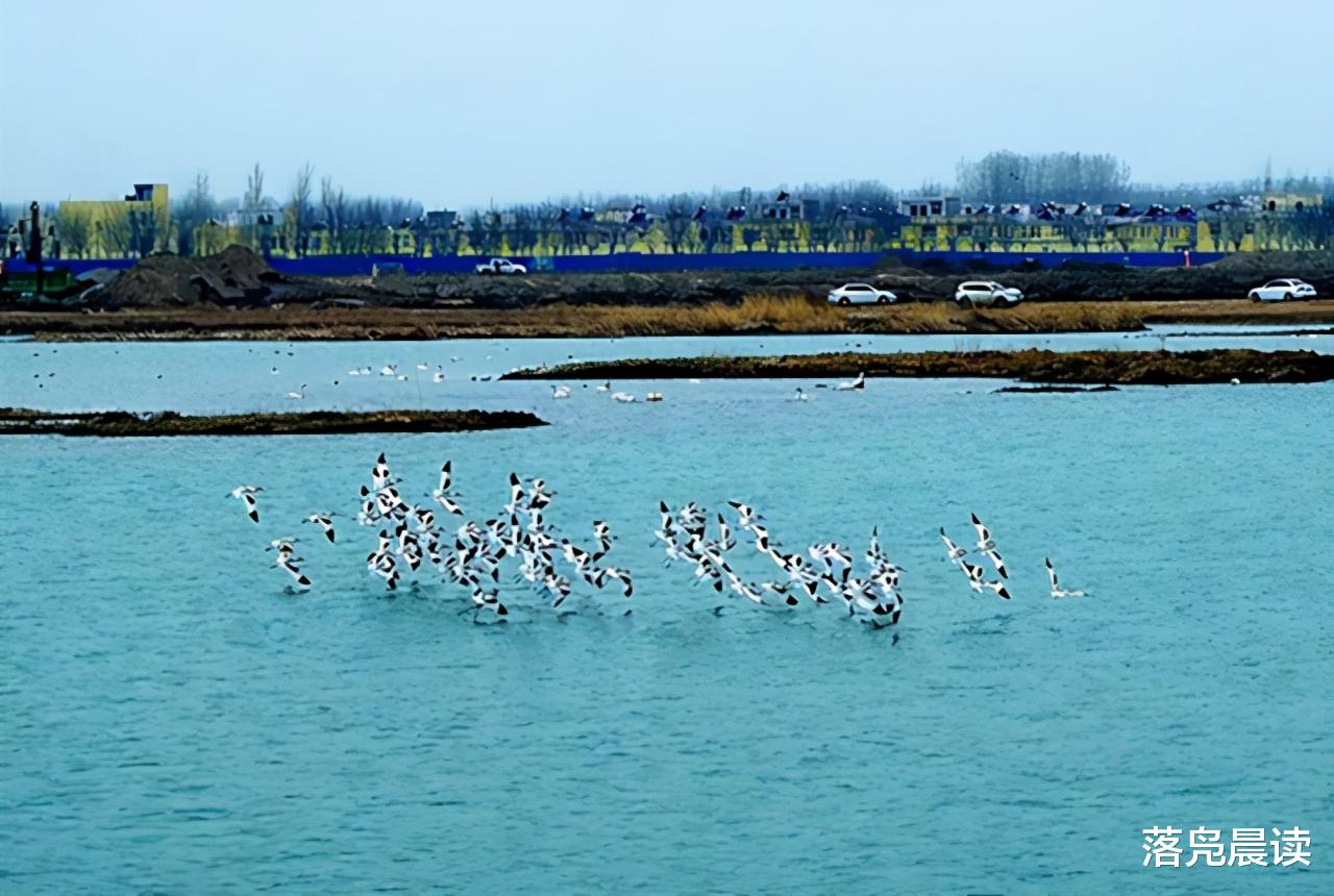 落凫晨读 五一小长假  郑州中牟各景区游客爆棚  交警全员上岗保畅通