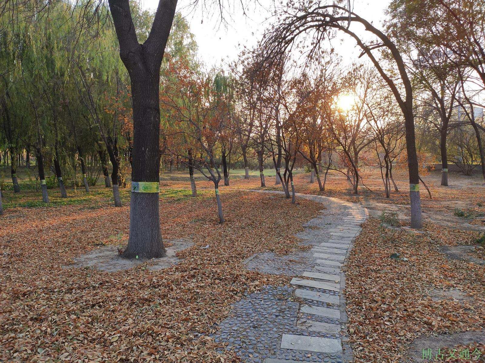 博古又通今 四环边郊野公园散心，回顾一冬走过来的景象