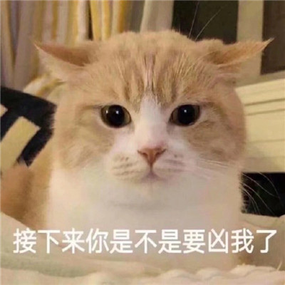 桉月|表情包：委屈难过的表情