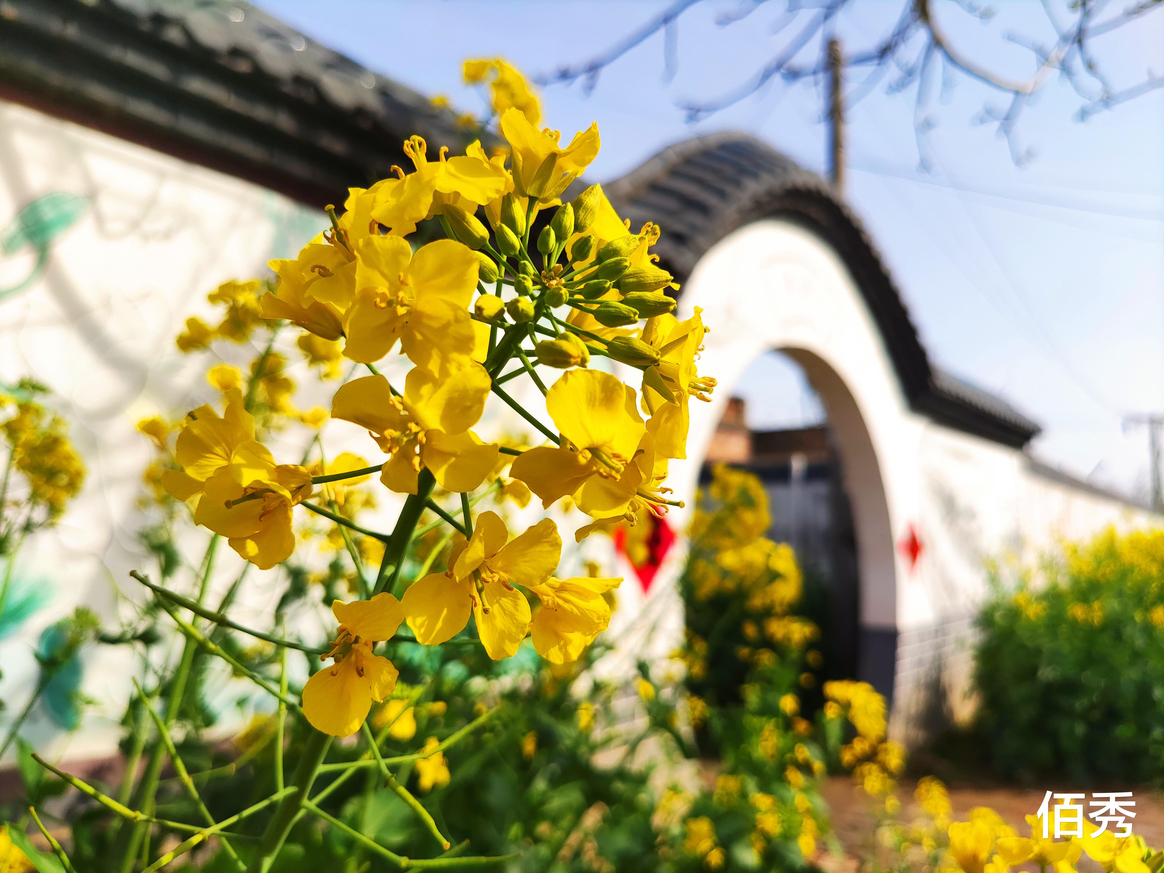 佰秀 农村青年有钱后，每月给60岁父母1000元养老金，是孝顺还是作秀