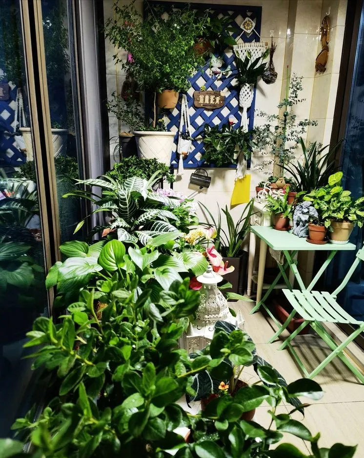 6㎡封闭阳台造花园，1寸空间也不浪费，不出门也能看风景