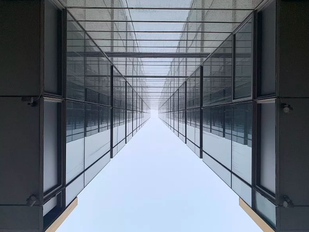 龙吸水 如果中国龙真的存在，它应该是如何飞行的？几种可能性深度分析