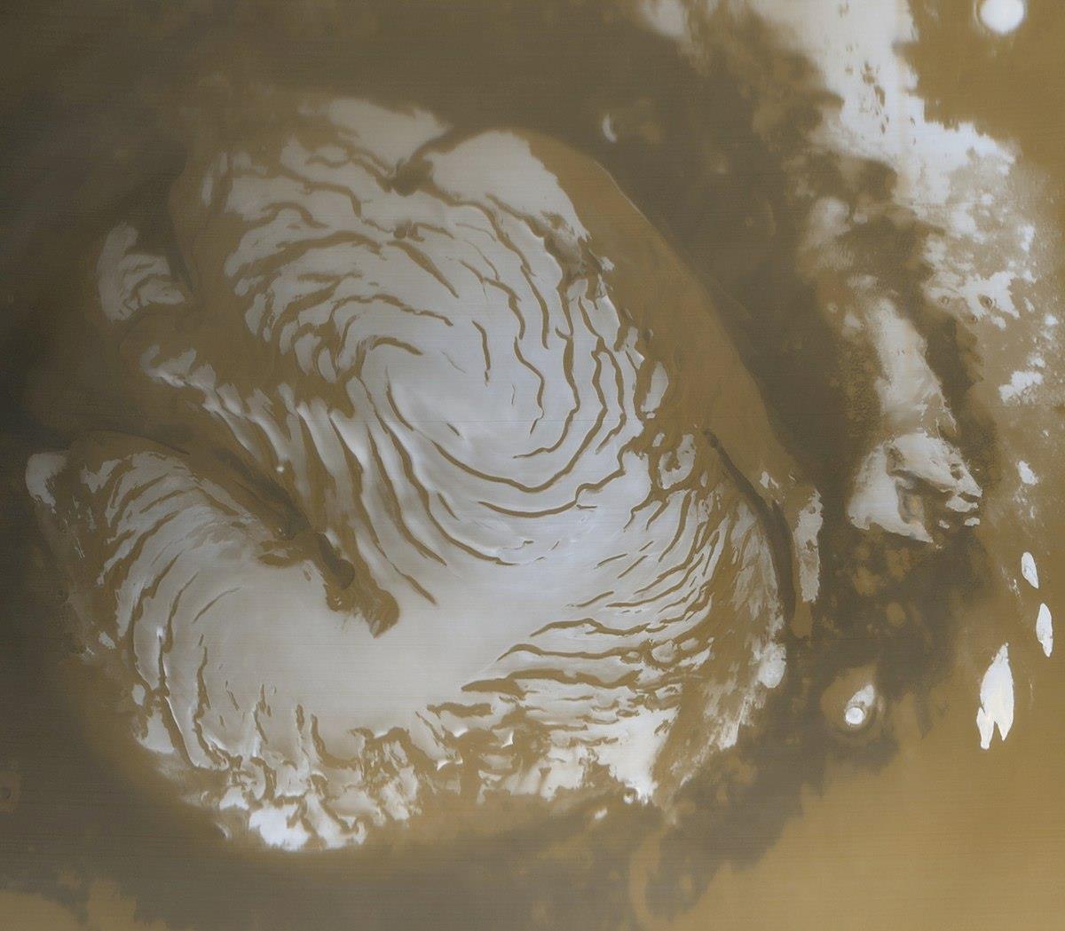 火星车很早就发现火星生命了?机遇号拍到“蜥蜴”,它到底是啥?