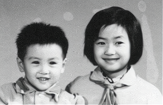 徐静蕾|徐静蕾的父亲徐子建：为女儿婚事纠结，最大心愿就是当岳父做姥爷