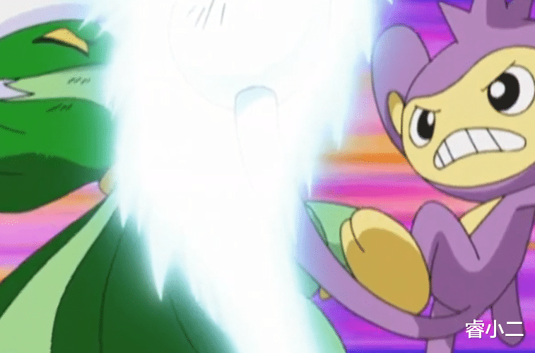 寶可夢|《寶可夢》和菜種的三比三對戰，小智的草苗龜終于戰勝對方！