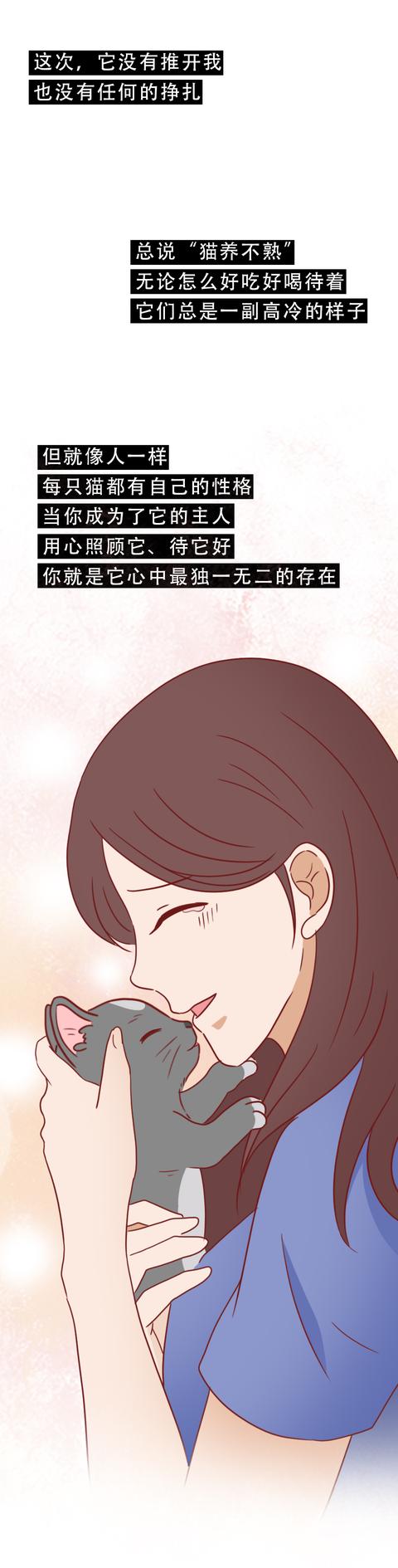 女孩|一只捡来的猫，给了抑郁症女孩第2次生命，有时兽性比人性强