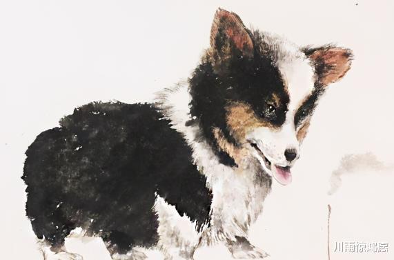 生肖|福星眷顾的生肖,最有机会过上好日子,2021好运连连