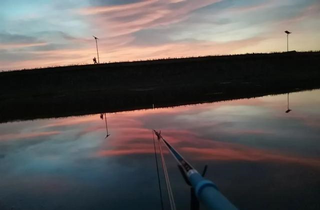 饵料|钓鱼怎么会“上瘾”的？只怪这4点诱惑太大，真叫人欲罢不能