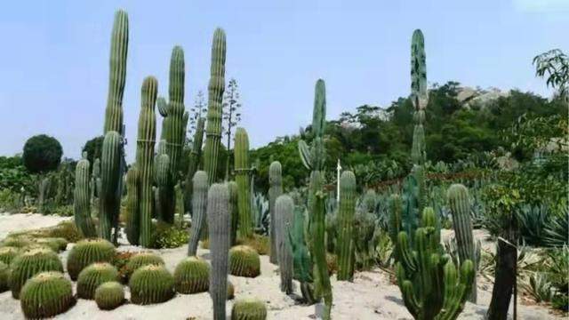  地球上十个看着很小实际却很大的东西，有一个你几乎天天见