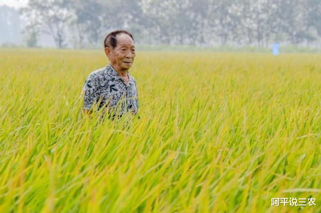 阿平说三农 中国的粮仓，稻穗的守护人，你永远活在中国人的心中！