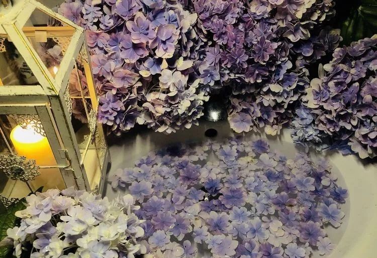 |3㎡的阳台能干嘛？这个宿舍小阳台花园或许会惊艳到你，看看吧！