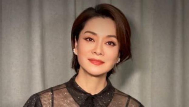 毛阿敏|毛阿敏隐藏老公19年，去世后260亿遗产不给妻女？看他死前见了谁