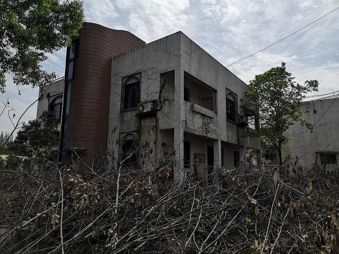 植物|古语说“宁宿荒坟，不住荒庙”，难道古庙比荒坟更可怕？