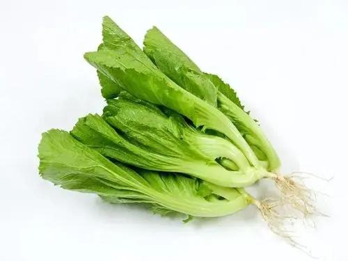 肝脏|李兰娟院士:秋季正是养肝时,不妨多吃4种养肝食物,对肝有好处