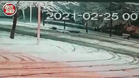 河南都市频道 行人雪中被撞重伤昏迷,监控拍下司机令人愤怒一幕