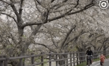 李小龙|4年过去，那个模仿李小龙的男孩，现在怎么样了？