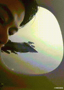 小琳解说星座|请问哪里违章了，至今都没想明白，网友神评扎心了老铁哈哈哈